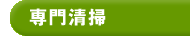 専門清掃