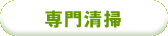 専門清掃